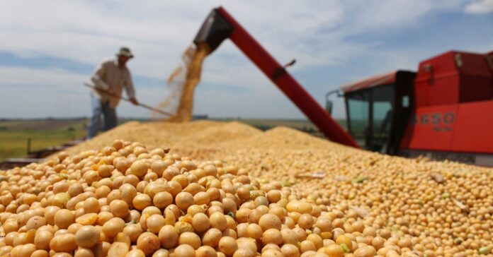 IMG_7640 Mesmo com queda de 9,6% na receita, Minas Gerais mantém a terceira posição entre os maiores exportadores do agronegócio do país, impulsionado pelo avanço das exportações de soja e carnes