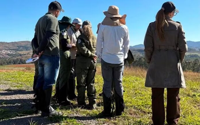 Projeto de terras raras da Viridis em Poços de Caldas passa por vistoria da FEAM durante o licenciamento ambiental e prevê mina de 373 hectares com início das operações em 2028.
