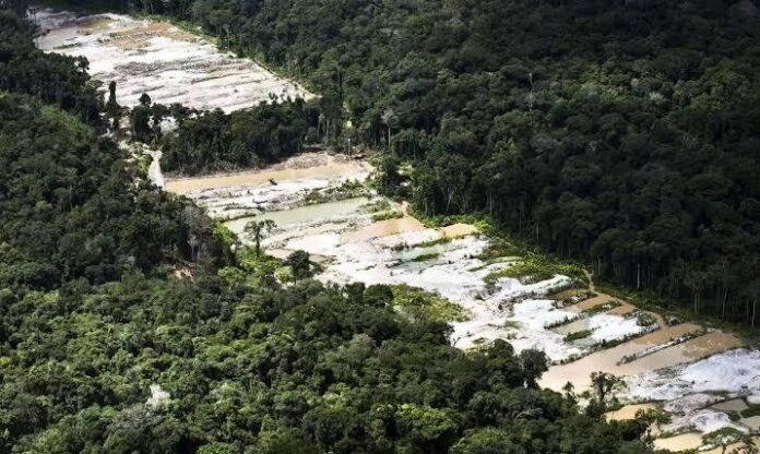 Garimpo ilegal na Floresta Nacional do Urupadi extraiu 71,1 quilos de ouro e causou prejuízos ambientais estimados em R$ 1,56 bilhão, segundo o MPF.