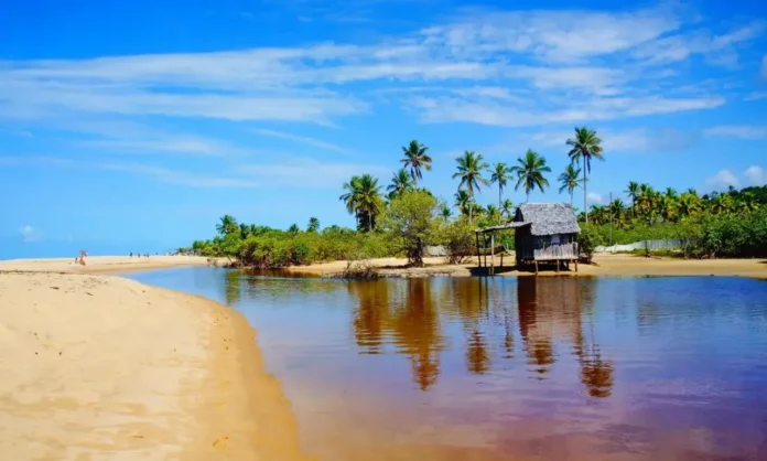 A Energy Fuels investiu cerca de R$ 134 milhões na aquisição de 17 concessões minerais em uma área de 15.089 hectares entre Prado e Caravelas, na Bahia, para explorar terras raras presentes na areia monazítica