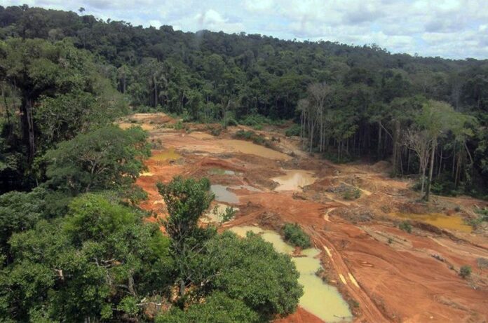 Caso de uma PLG de apenas 1,08 hectare associada a 776 quilos de ouro leva MPF a questionar fiscalização da ANM na Amazônia.