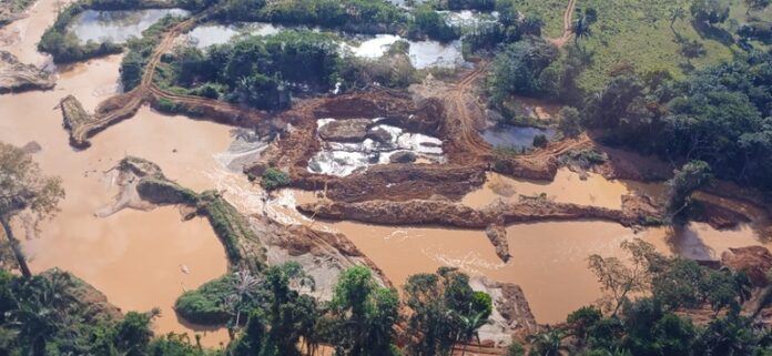 ouro-ilegal-para Denúncia do Greenpeace aponta que uma cooperativa teria movimentado R$ 2,8 milhões em ouro ilegal no Alto Tapajós e questiona autorização para garimpo na Terra Indígena Munduruku