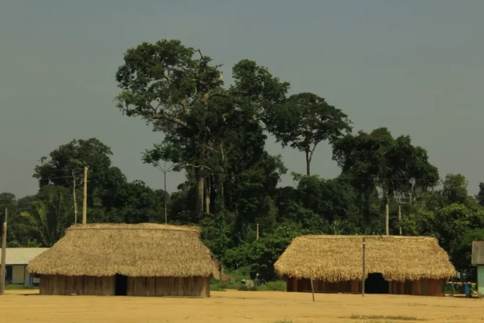 A Polícia Federal destruiu máquinas e estruturas usadas em garimpo ilegal na Terra Indígena Baú, no Pará. A operação contou com apoio do Ibama e da Força Nacional para combater a exploração clandestina e proteger o povo Kayapó