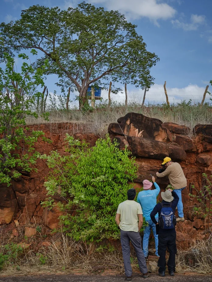 A Origen Resources pretende adquirir 70% de um projeto entre Bahia e Piauí e amplia pesquisas de terras raras em uma área de 68.615 hectares