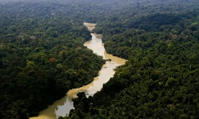 bacias na Amazônia Levantamento do Ipam aponta avanço de 562% do garimpo ilegal em Terras Indígenas entre 2016 e 2024 e mostra impactos sobre 147 territórios amazônicos.