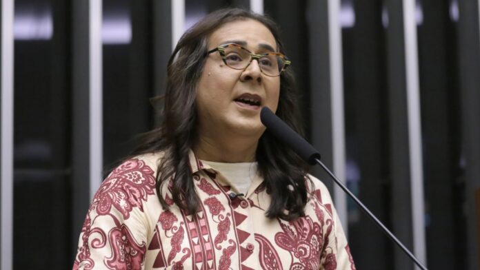 Duda Salabert relata tentativa de homicídio durante fiscalização de suposta extração ilegal de minério na divisa entre Belo Horizonte e Nova Lima, em Minas Gerais.