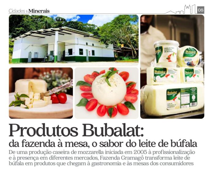 De uma produção caseira de mozzarella iniciada em 2005 à profissionalização e à presença em diferentes mercados, Fazenda Gramagô transforma leite de búfala em produtos que chegam à gastronomia e às mesas dos consumidores