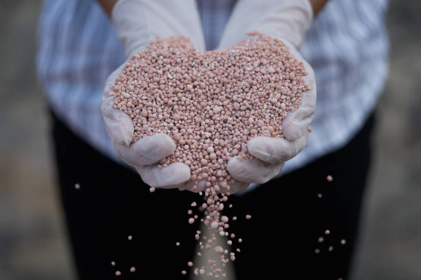 Brazil Potash obtém aumento do teor de KCl de 13% para 27% em testes com inteligência artificial no Projeto Potássio Autazes, no Amazonas.
