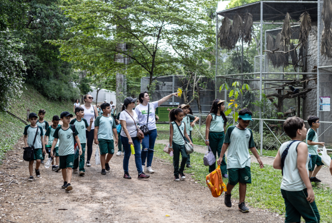Exposição do 42º Projeto Xerimbabo Usiminas acontece em Ipatinga, de 6 de novembro a 6 de dezembro, com atividades sobre biodiversidade e educação ambiental.
