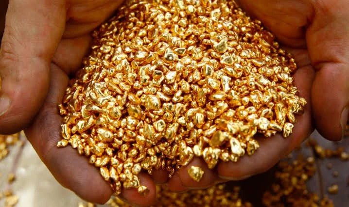 GoldMining inicia campanha de 6 mil metros de sondagem no projeto São Jorge, em Novo Progresso, para investigar o potencial de ouro no Pará